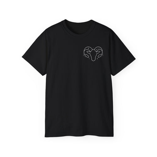 Aries Zodiac Energy T-Shirt - Chaotic Good Graphic Tee - Astrology Gift