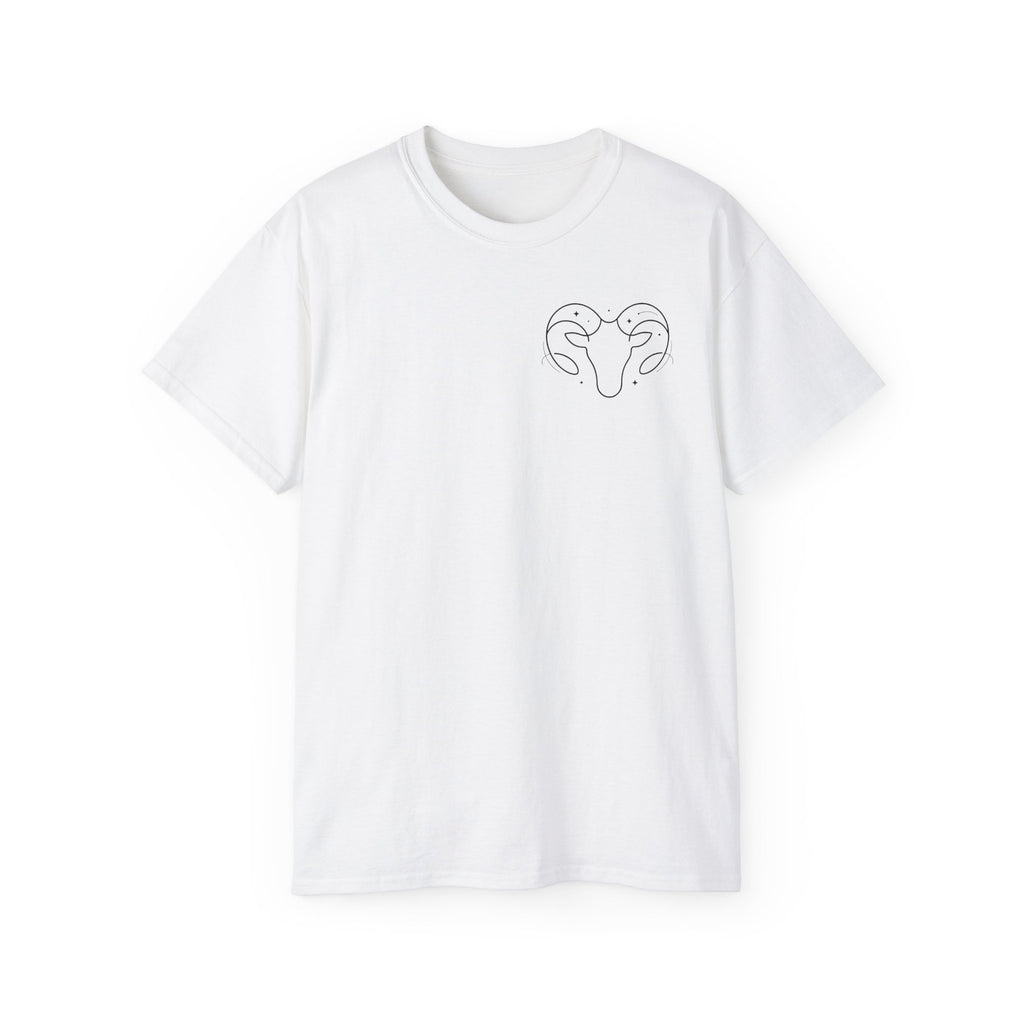 Aries Zodiac Energy T-Shirt - Chaotic Good Graphic Tee - Astrology Gift