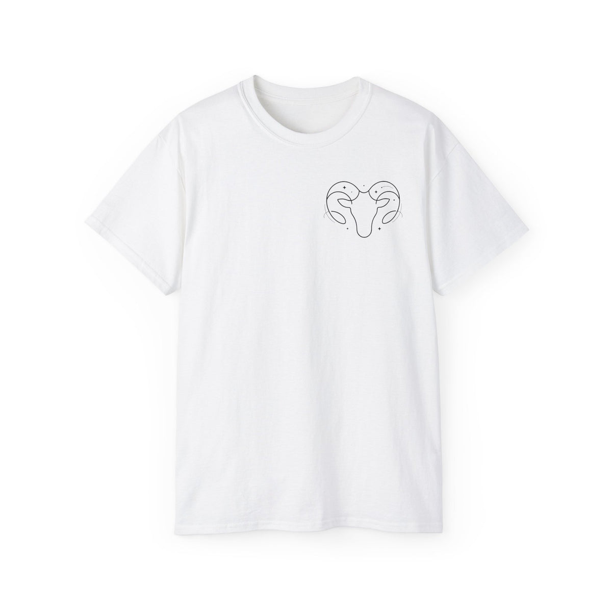 Aries Zodiac Energy T-Shirt - Chaotic Good Graphic Tee - Astrology Gift